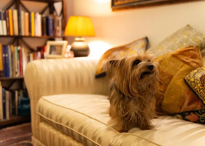 Couette-café La Scalinatella Rome