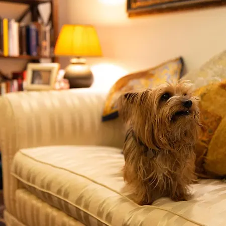 Bed & Breakfast B&B La Scalinatella Rome